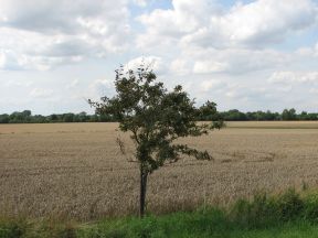 Greenwich Meridian Marker; England; Cambridgeshire; Orwell